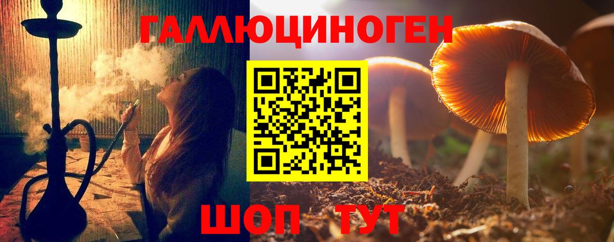 Апшеронск  Псилоцибиновые грибы MAGIC MUSHROOMS  Вход с VPN 